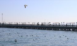 Tekirdağ bu yıl 5 milyon yerli ve yabancı ziyaretçi bekliyor