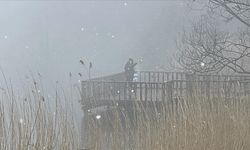 Gölcük Tabiat Parkı'nda kar ve sis etkili oluyor