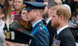 İngiliz Daily Mirror gazetesi Prens Harry'den özür diledi