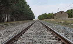 TCDD'den "Tren yollarında otla mücadele için ilaçlama yapılacak" uyarısı
