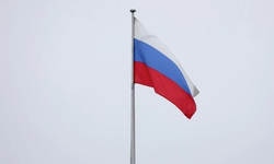 Rusya, Greenpeace örgütünü "faaliyetleri istenmeyen" kuruluş ilan etti