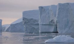 Bilim insanları Kuzey Kutbu'nda plastikleri parçalayan mikroorganizmalar keşfetti