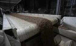 İngiltere, Karadeniz Tahıl Koridoru Anlaşması'nın süresinin uzatılmasından memnun
