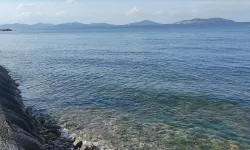 Türkiye Çevre Haftası "Temiz Deniz, Temiz Dünya" temasıyla kutlanacak