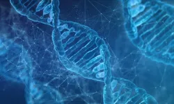 DNA haritası daha fazla insan grubunu kapsayacak şekilde güncellendi