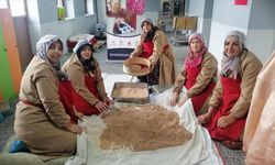 Çorum'da 7 girişimci kadın, kurdukları kooperatifle Türkiye'ye organik ürün satıyor