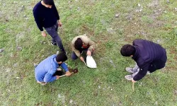 Elazığ'da köylüler ilkbaharda kırsalda kumi mantarı topluyor
