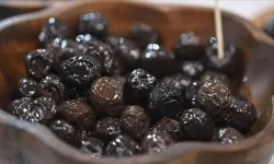 Türkiye'nin peynir ve zeytin üreticileri İstanbul'da buluştu