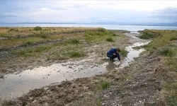 Van'da akarsuların debisi düştü, inci kefallerinin göçü zorlaştı