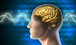 İnsan Beyninin Gizemli Ağı Nörobilim Kongresi’nde Konuşulacak