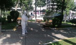 Bayrampaşa Belediyesi ilaçlama çalışması başlattı