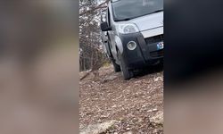 Manavgat'ta piknik yapan gencin aracına giren tilki görüntülendi