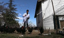 Burdur'daki tarım lisesi hayvancılık alanında da yetkin bireyler yetiştiriyor