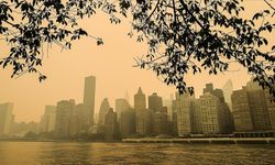 BM: New York'taki duman iklim krizinin sembolü