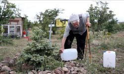 Yaşı 93 olmasına rağmen çevreyi yeşertmek için çalışmaktan vazgeçmiyor
