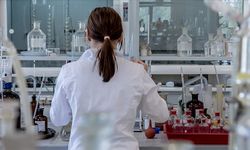Bakterilerin, gut ve kalp damar hastalıklarının tedavisinde kullanılabileceği belirtildi