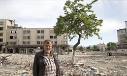 Depremde yıkılan çay ocağından geriye kalan kayısı ağacından vazgeçemiyor
