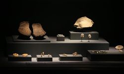 Avrupa'nın "ödül avcısı" müzesi Troya'ya gezginlerden de tam not