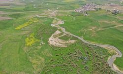 Murat Nehri'nin çevresinde bahar renkleri hakim oldu
