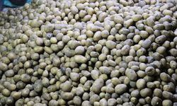 Mayısta fiyatı en fazla artan ürün "patates ve bazı yumru bitkiler", en fazla düşen "doğal gaz" oldu
