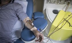 Genç yetişkinlerde böbrek işlevindeki 4'te 1'lik azalmanın bile ciddi sonuçları olabilir