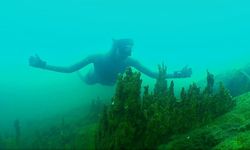 Dalış rekortmeni Şahika Ercümen'den Van Gölü'nde "sıfır atık dalışı"