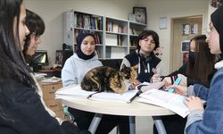 Kedi "Merkür" lise öğrencilerinin yakın arkadaşı oldu