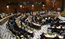 Türkiye, BM Ekonomik ve Sosyal Konseyi'ne seçildi
