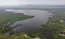 Endemik bitki ve hayvan popülasyonu zengini Eber Gölü'ne yağışlar yaradı