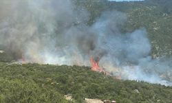 Kaş'ta çıkan orman yangını kontrol altına alındı