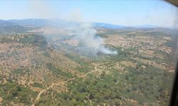 İzmir'de ormanlık alanda çıkan yangın kontrol altına alındı