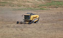 Tarımı toprakla iç içe öğrenen liselilerin el emeği buğdayları hasat edildi
