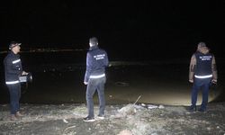 Van'da ele geçirilen 2 ton canlı inci kefali suya bırakıldı