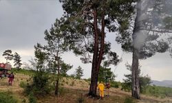 Muğla'da 3 haftada yıldırım kaynaklı 28 orman yangını çıktı