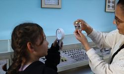 Bolu'da okul bünyesinde açılan müzeyle çocuklara doğa bilinci aşılanıyor