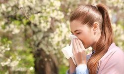 Baharda Alerjik Rinitin 9 Belirtisine Dikkat