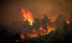 Yunanistan Yangınları: Binlerce kişi evlerini ve otelleri terk ederek uyarıldı