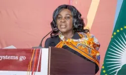 Gana Bakanı hırsızlık raporuyla tutuklandı