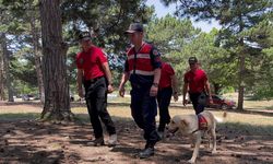 Jandarma, Uludağ'da muhtemel orman yangınlarına karşı devriyeye başladı