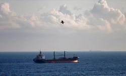 AB Karadeniz tahıl anlaşmasının uzatılmasını istiyor