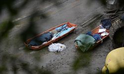 Japonya'nın kuzeyindeki şiddetli yağışlarda 1 kişi hayatını kaybetti