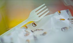 Hollanda'da işletmeler tek kullanımlık plastik yemek kapları için ek ücret alacak