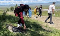 Ardahan'da gönüllü gençler ormanda çöp topladı