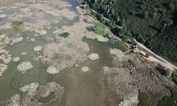 Taşkın yaşanan Melen Çayı ile Efteni Gölü havzası korunaklı hale getirilecek