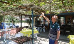 Enez'de tatilciler ve ilçe sakinleri sivrisineklerden dertli