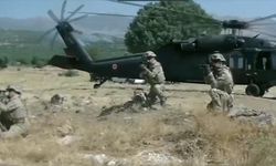 Lice ve Genç kırsalında 16 milyon kök kenevir bitkisi ele geçirildi