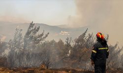 Miçotakis, Rodos Adası'ndaki orman yangınlarına karşı mücadeleyi "savaş" olarak nitelendirdi