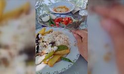 Muğla'da yavru serçe yemek yiyen kişinin tabağından ve elinden beslendi