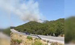 Antalya'nın Demre ilçesinde çıkan orman yangını kontrol altına alındı