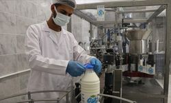 Belediyenin süt işleme tesisi üreticilere kazandırıyor